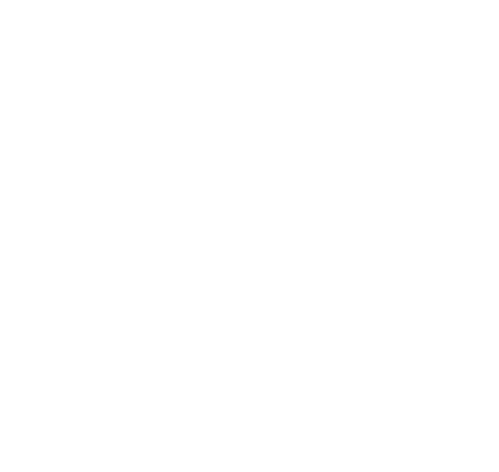 Career Support